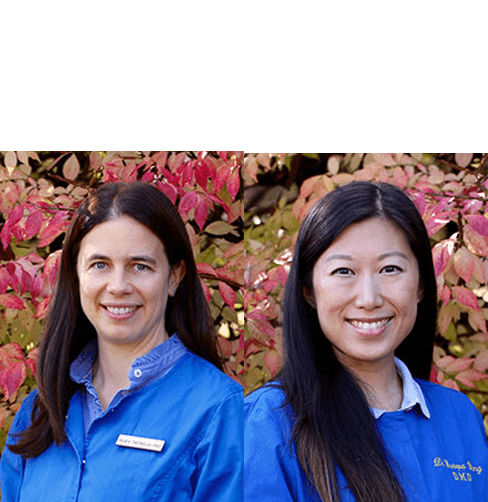 Dr. Tremblay & Dr. Yang